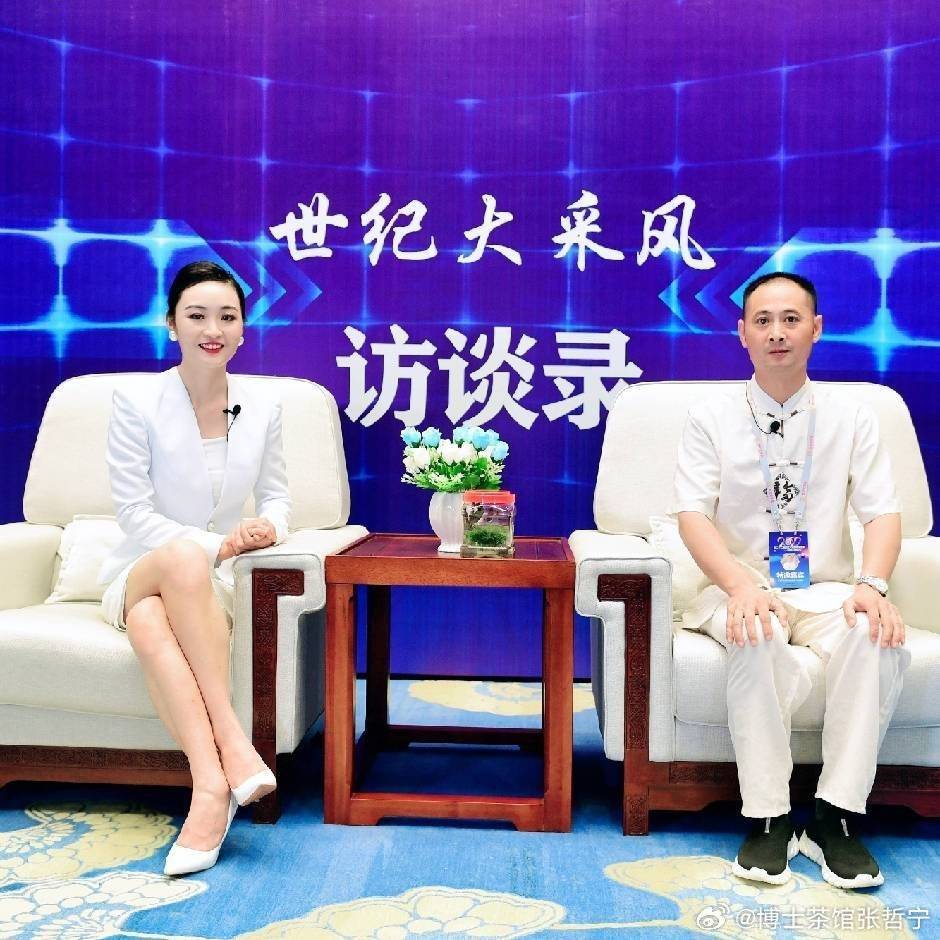 互联网+AI+新媒体的构思与实施计划PP模拟器免费试玩博士茶馆哲宁老师